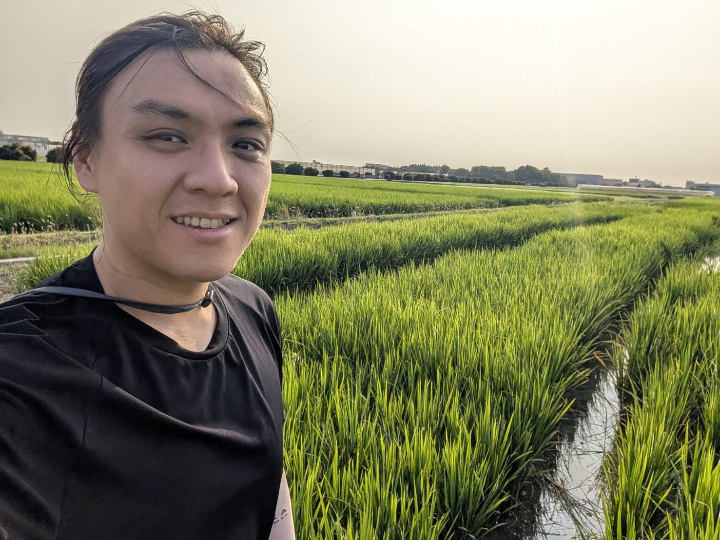 臺灣與世界米質研究分享講座